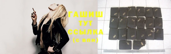 гидра Арсеньев