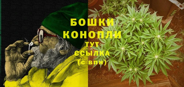 гидра Арсеньев