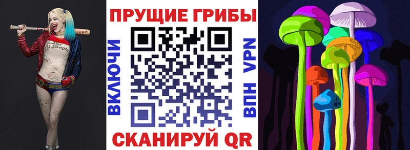 Галлюциногенные грибы Magic Shrooms  Теберда 